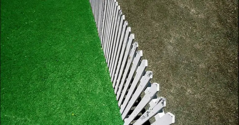 Grass is Greener Syndrome Relationship Effects