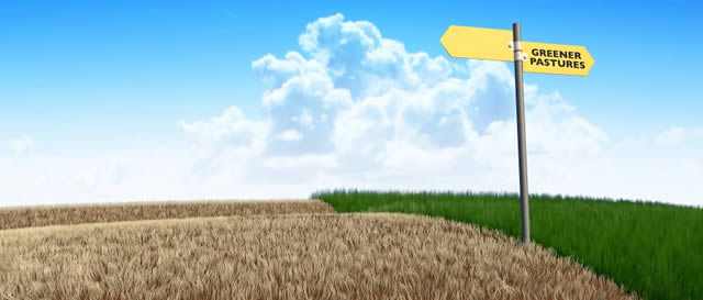 Grass is Greener Syndrome - Greener pastures direction indicator Grass is Greener Syndrome - Greener pastures direction indicator