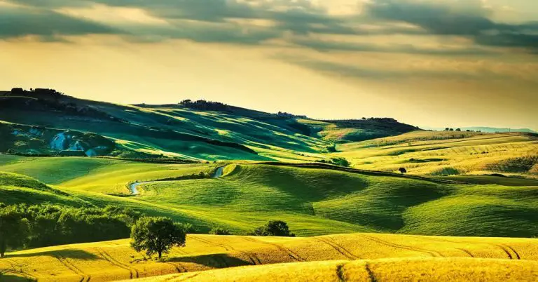 Grass is Greener Syndrome - Is it Always Greener?
