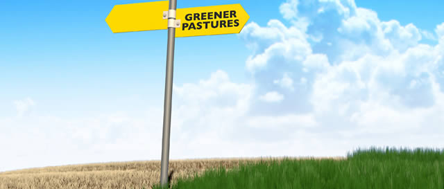 Always in search of greener pastures with GIGS