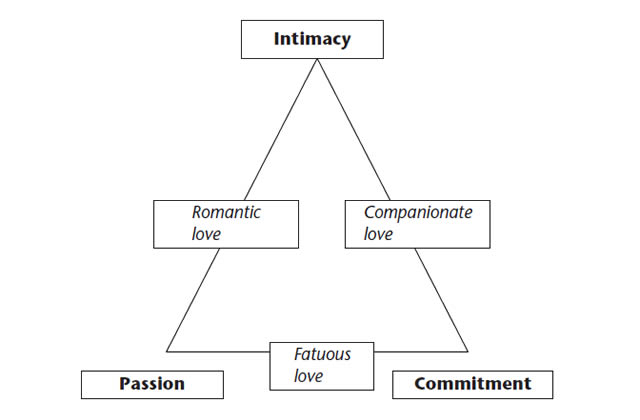Robert Sternberg's The Triangular Theory of Love Diagram Robert Sternberg's The Triangular Theory of Love Diagram